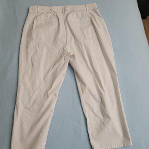 Penningtonn's Curvy Fit pants. Size 20.